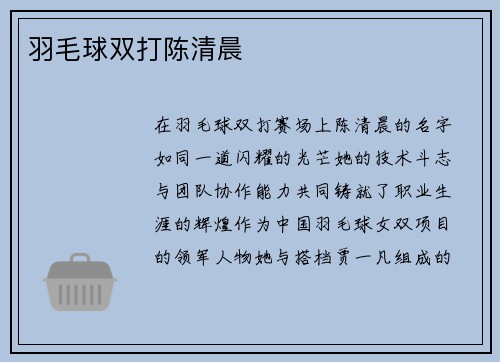 羽毛球双打陈清晨